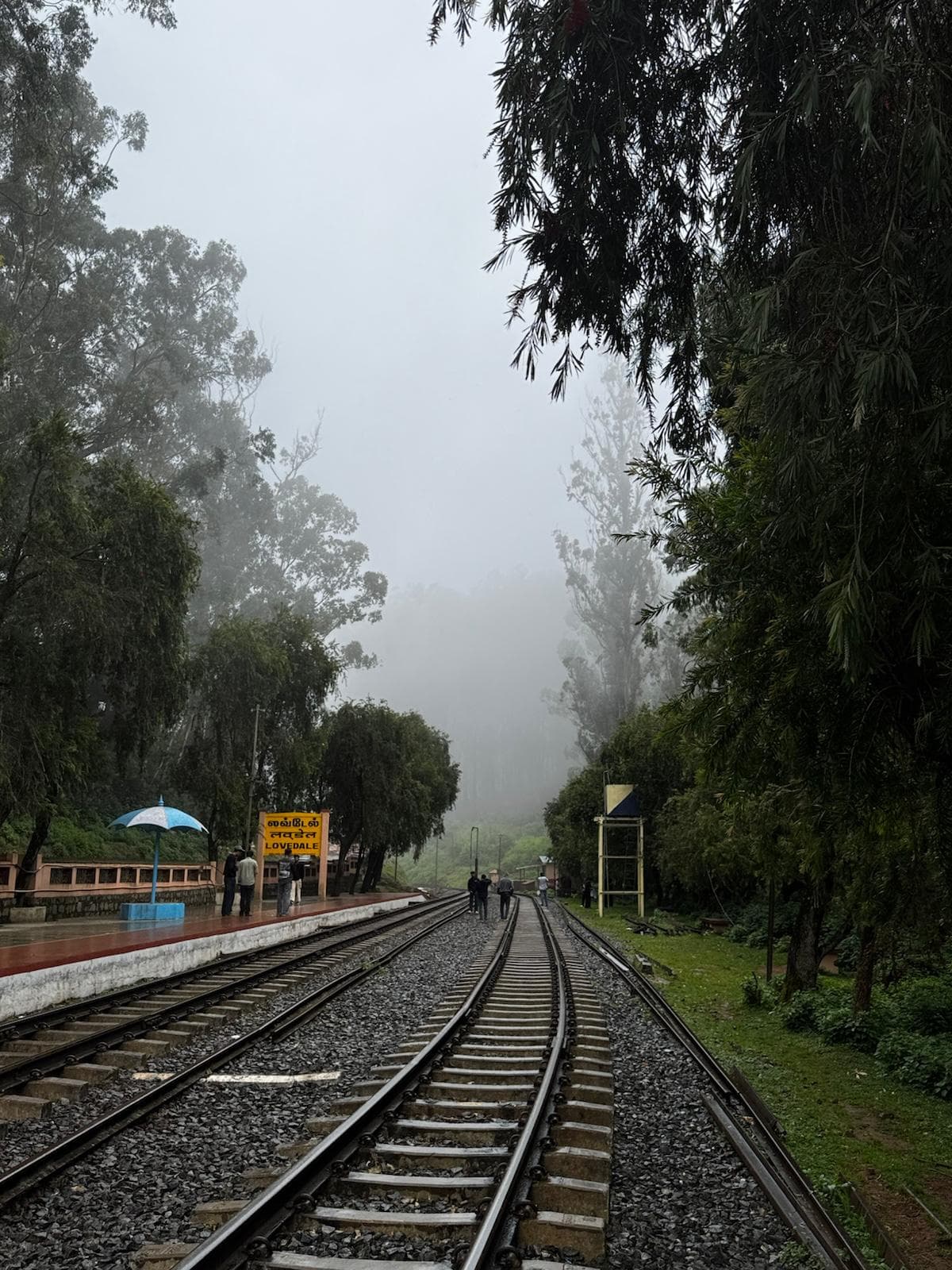 Misty train tracks at Lovedale railway station in the Nilgiris