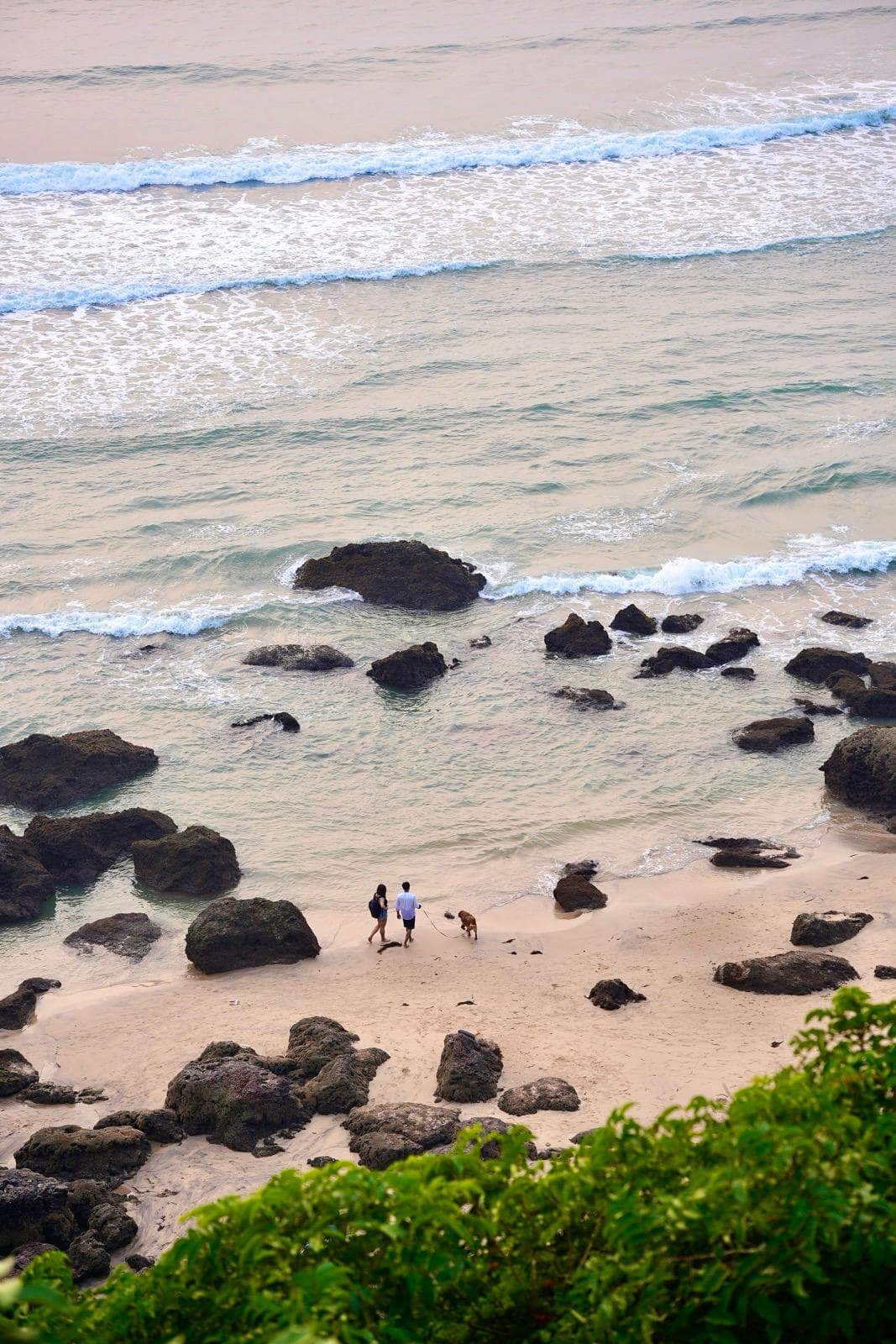 Aerial view of a rocky beach with two people and a dog walking along the shore